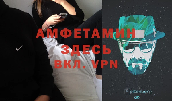 шишки Беломорск