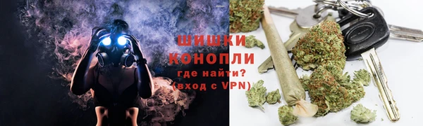 шишки Беломорск