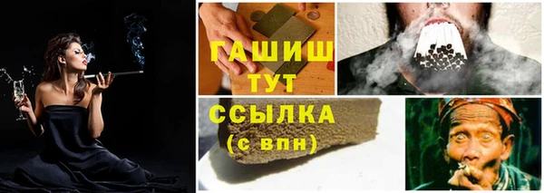 шишки Беломорск