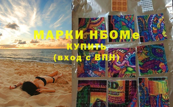 шишки Беломорск
