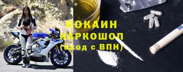 шишки Беломорск