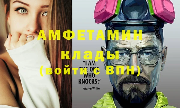 шишки Беломорск