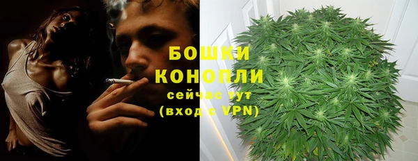 шишки Беломорск