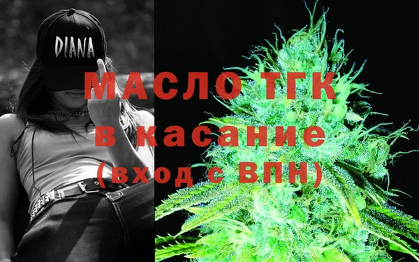 шишки Беломорск