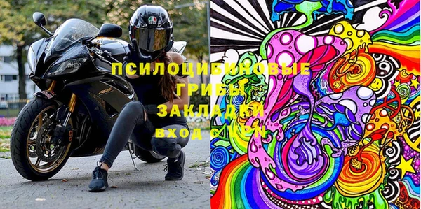 шишки Беломорск